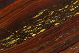 Polished Tiger Iron Stromatolite - Billion Years #129301-1